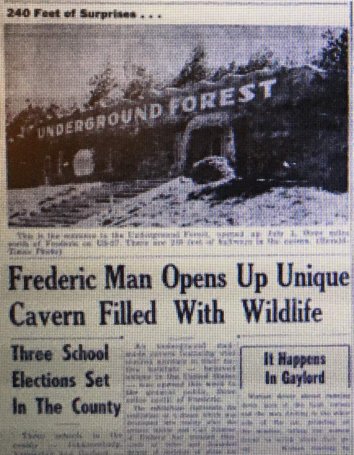 Underground Forest - Old Article